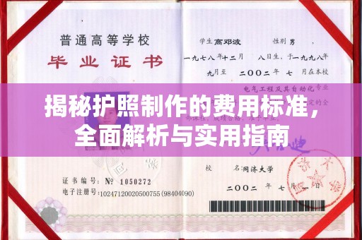 阜城揭秘护照制作的费用标准，全面解析与实用指南